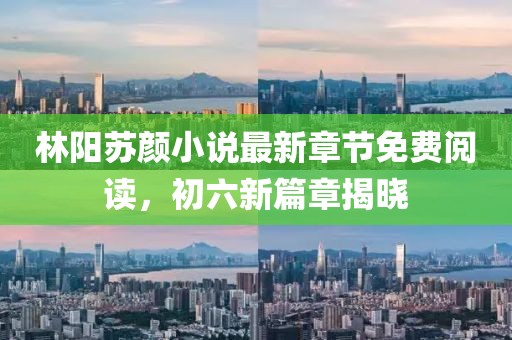 林陽(yáng)蘇顏小說最新章節(jié)免費(fèi)閱讀，初六新篇章揭曉