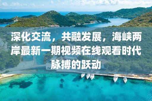 深化交流，共融發(fā)展，海峽兩岸最新一期視頻在線觀看時代脈搏的躍動