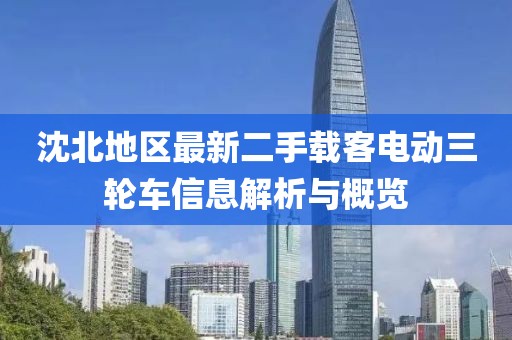 沈北地區(qū)最新二手載客電動(dòng)三輪車信息解析與概覽