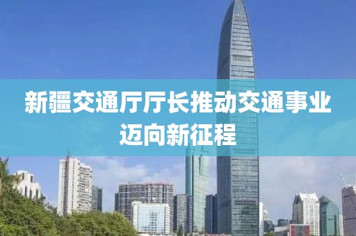 新疆交通廳廳長(zhǎng)推動(dòng)交通事業(yè)邁向新征程