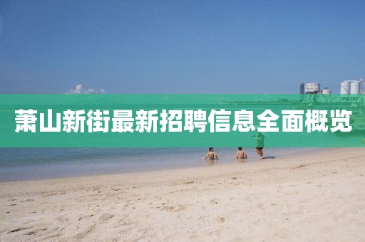 蕭山新街最新招聘信息全面概覽