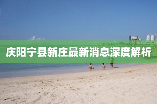 慶陽寧縣新莊最新消息深度解析