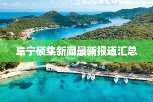 阜寧碩集新聞最新報道匯總