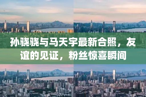 孫驍驍與馬天宇最新合照，友誼的見證，粉絲驚喜瞬間