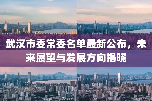 武漢市委常委名單最新公布，未來(lái)展望與發(fā)展方向揭曉