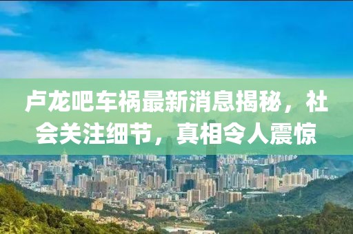 盧龍吧車禍最新消息揭秘，社會關注細節(jié)，真相令人震驚