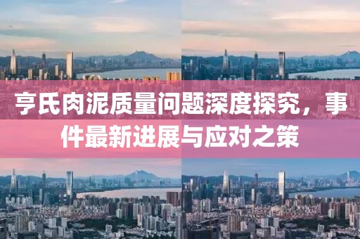 亨氏肉泥質量問題深度探究，事件最新進展與應對之策