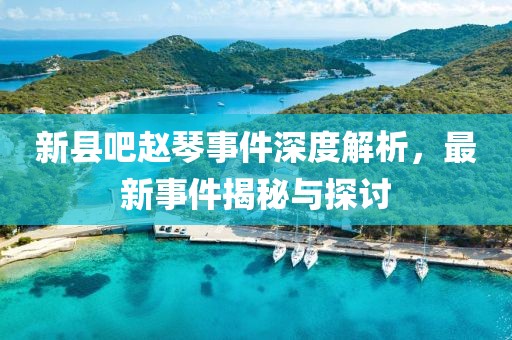 新縣吧趙琴事件深度解析，最新事件揭秘與探討