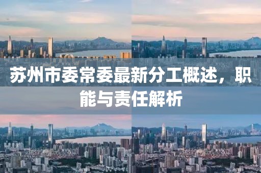 蘇州市委常委最新分工概述，職能與責任解析