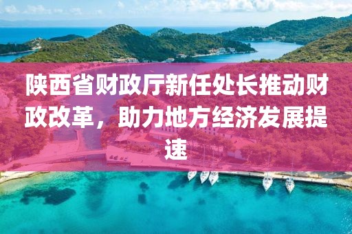 陜西省財政廳新任處長推動財政改革，助力地方經(jīng)濟發(fā)展提速