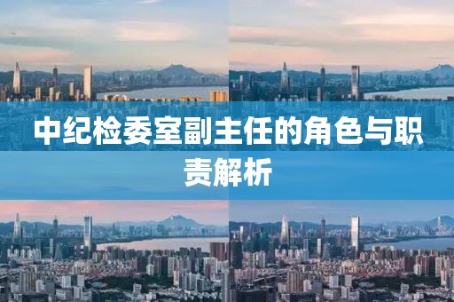中紀(jì)檢委室副主任的角色與職責(zé)解析