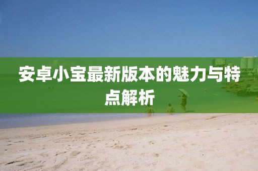 安卓小寶最新版本的魅力與特點解析