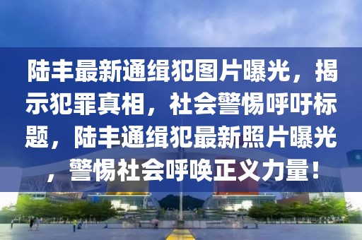 陸豐最新通緝犯圖片曝光，揭示犯罪真相，社會(huì)警惕呼吁標(biāo)題，陸豐通緝犯最新照片曝光，警惕社會(huì)呼喚正義力量！
