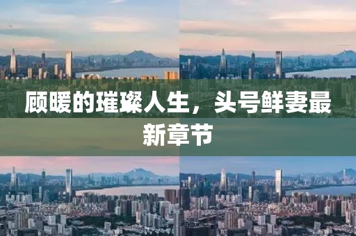 顧暖的璀璨人生，頭號鮮妻最新章節(jié)