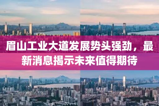 眉山工業(yè)大道發(fā)展勢(shì)頭強(qiáng)勁，最新消息揭示未來(lái)值得期待