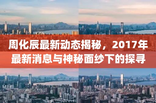 周化辰最新動態(tài)揭秘，2017年最新消息與神秘面紗下的探尋