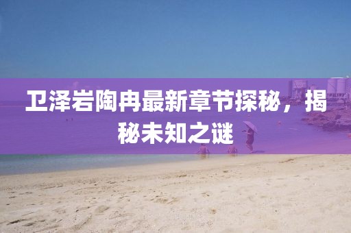 衛(wèi)澤巖陶冉最新章節(jié)探秘，揭秘未知之謎