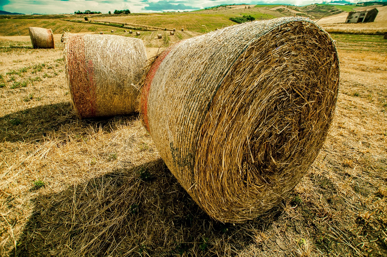 開心的時(shí)刻 第27頁(yè)