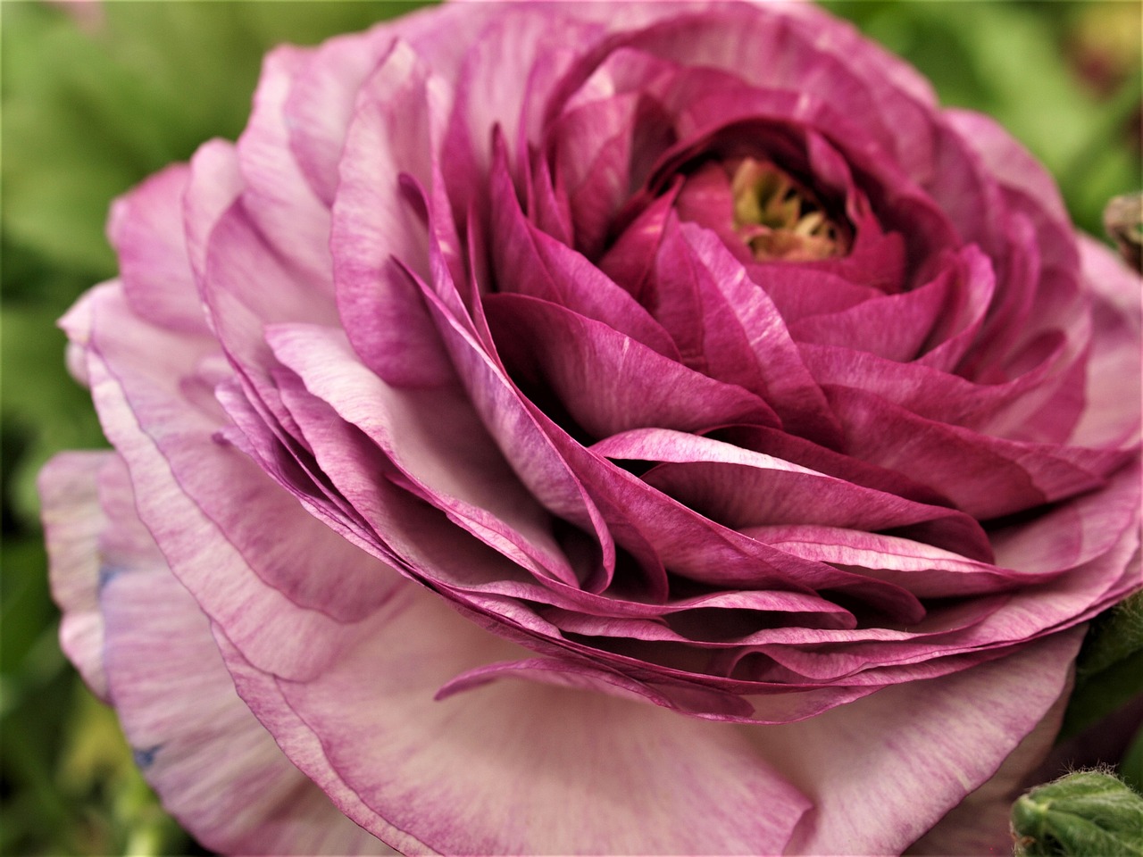 東和環(huán)保引領(lǐng)綠色發(fā)展，先鋒力量展現(xiàn)最新環(huán)保動(dòng)態(tài)