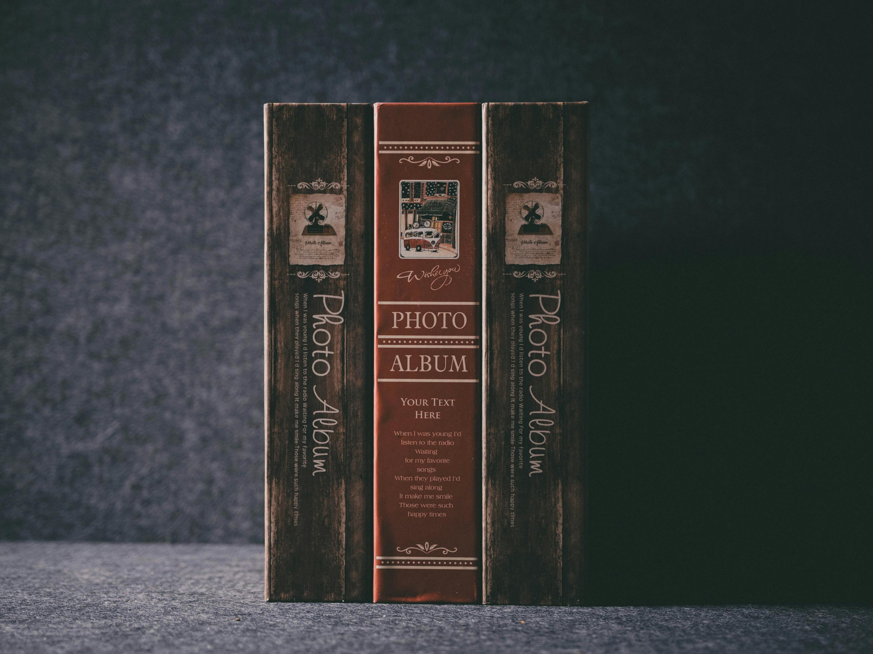 儀隴新聞網最新爆料解析，地區(qū)新動態(tài)與熱點話題深度探討