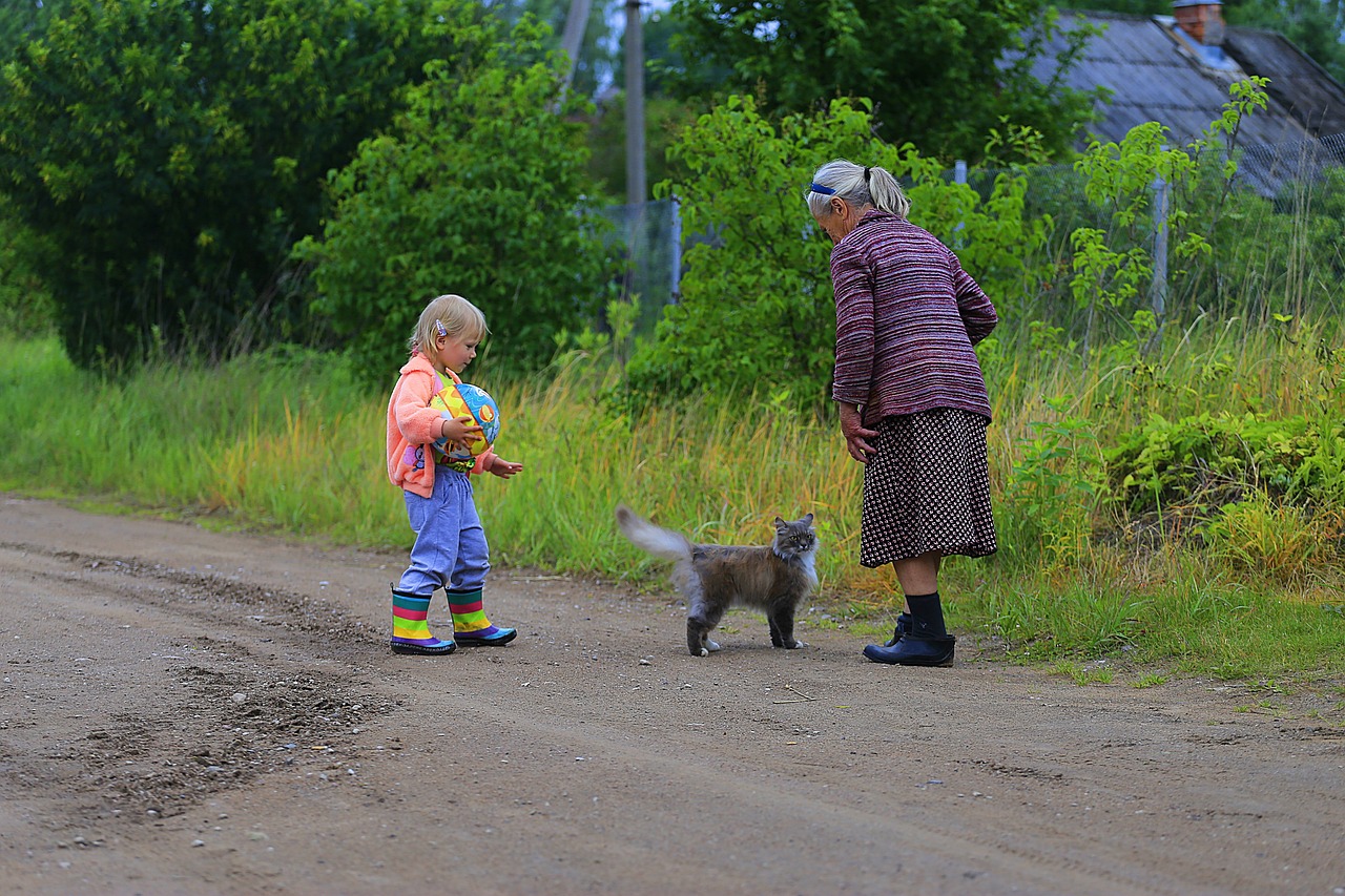 最新農(nóng)村愛情電視劇，鄉(xiāng)村生活的浪漫與真實(shí)之旅