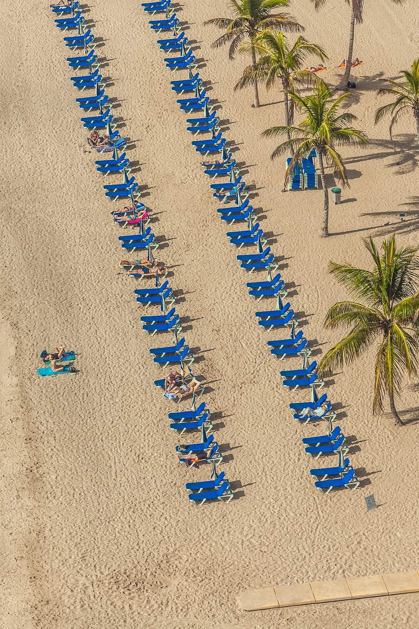迷你世界最新版，探索與體驗(yàn)之旅