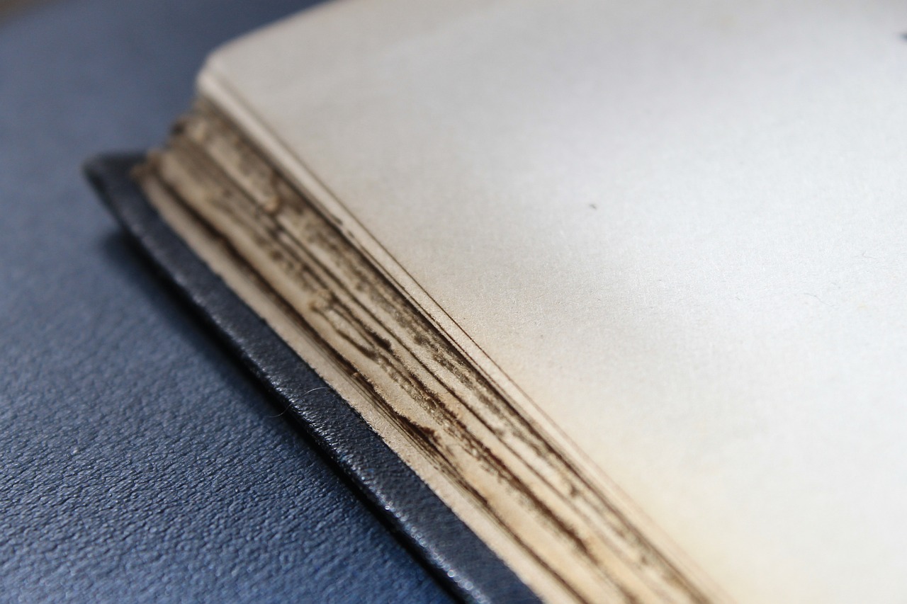 笑我太癡狂 第26頁