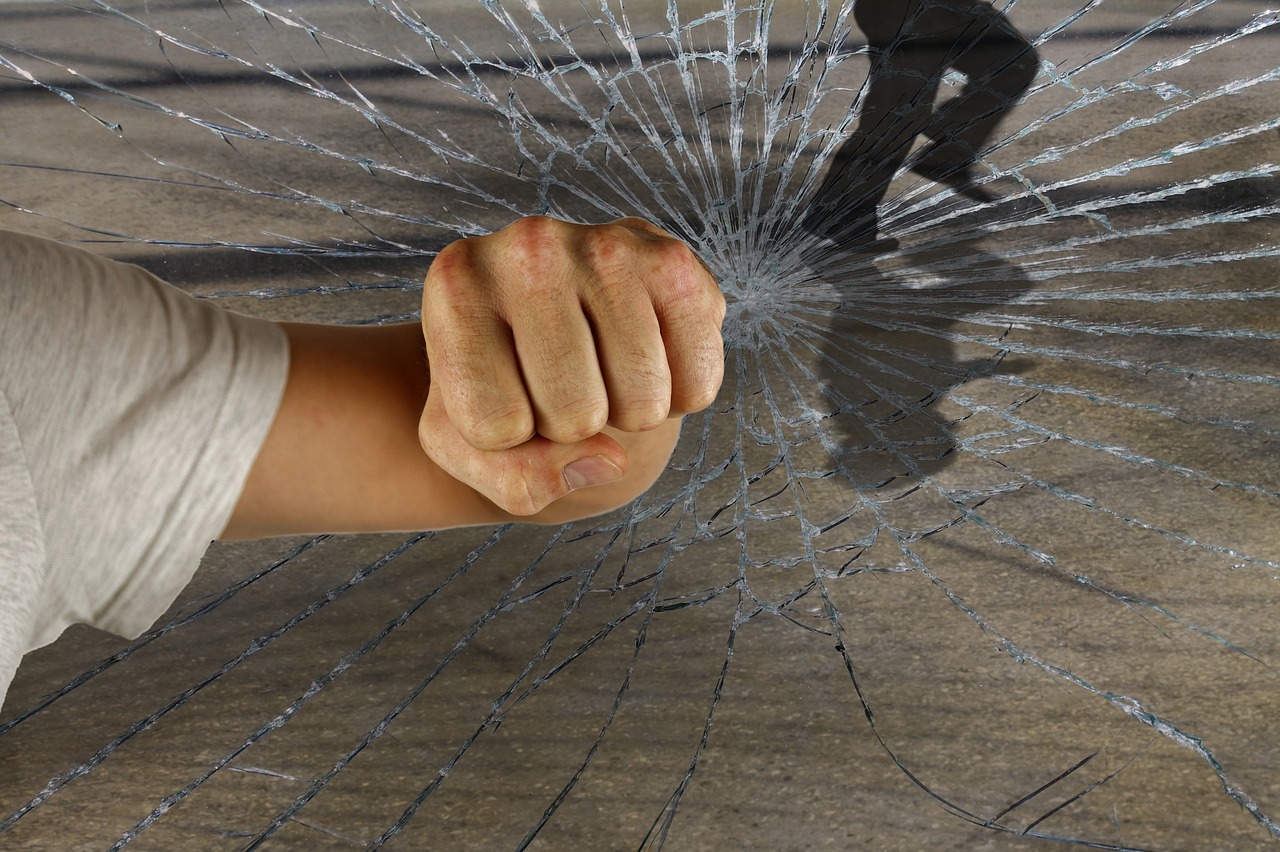 龍的世界最新破解版，警示違法犯罪的虛擬世界風(fēng)險(xiǎn)揭秘