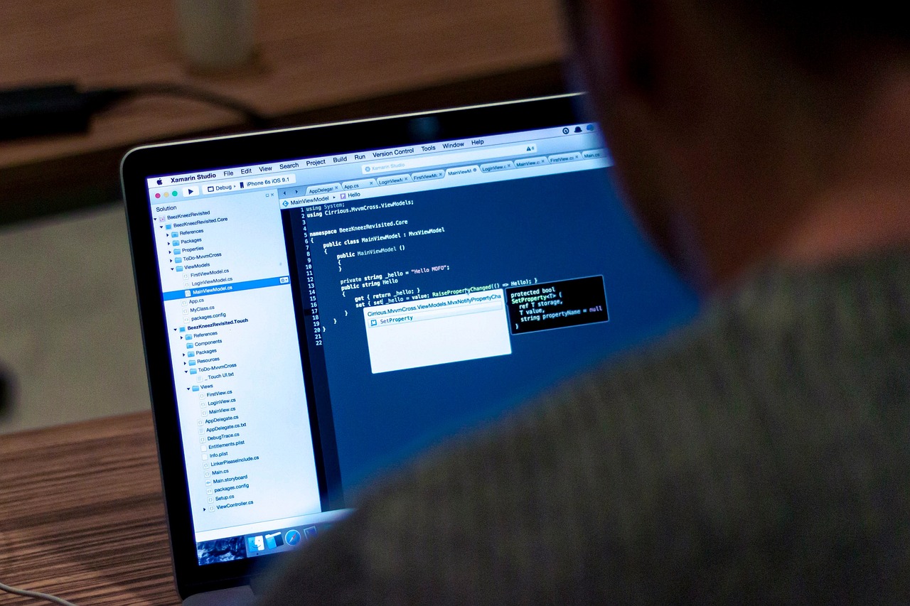 香港競之王浮漂最新款，現(xiàn)代釣魚尖端技術(shù)的探索與體驗