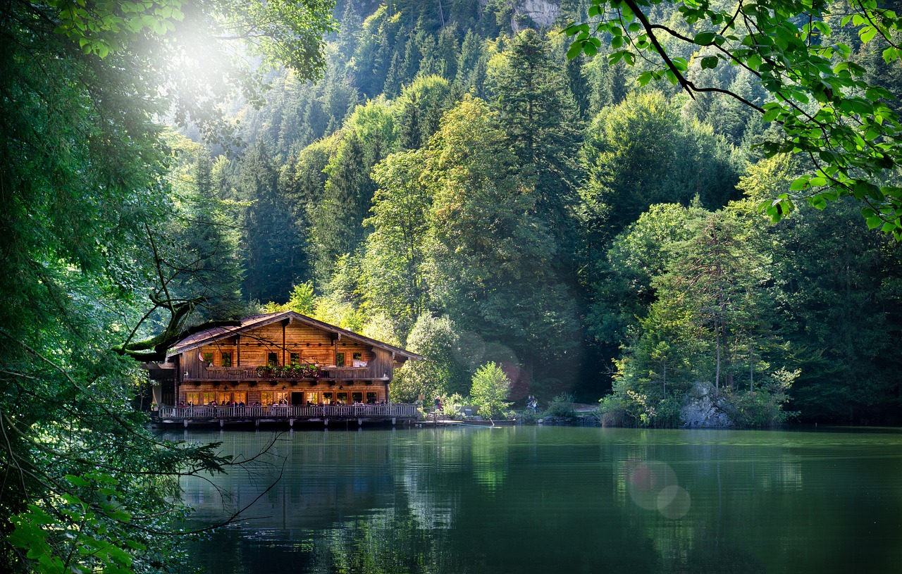 灌云五農(nóng)景苑最新動態(tài)揭秘，最新進(jìn)展與資訊更新