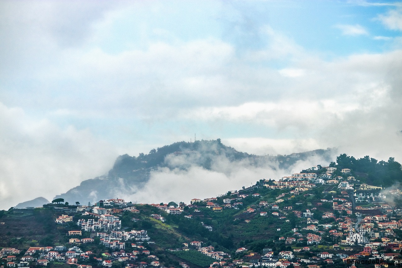 濟南新聞網(wǎng)最新新聞，城市動態(tài)與經(jīng)濟脈搏的交融報道
