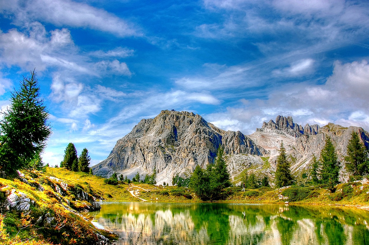 大連東北特鋼最新動(dòng)態(tài)解析，全面關(guān)注最新消息