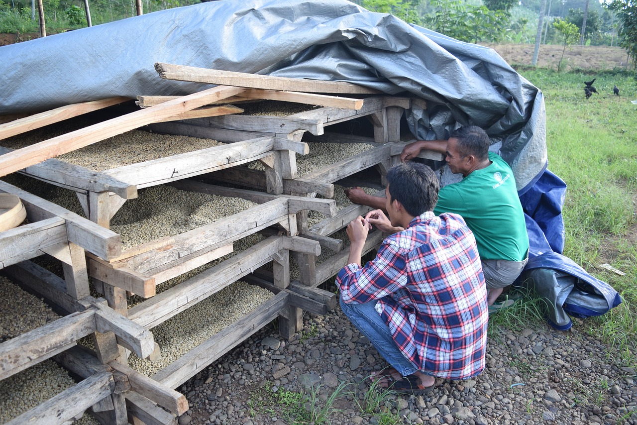 溧水土拍最新動態(tài)，市場動向及未來發(fā)展展望
