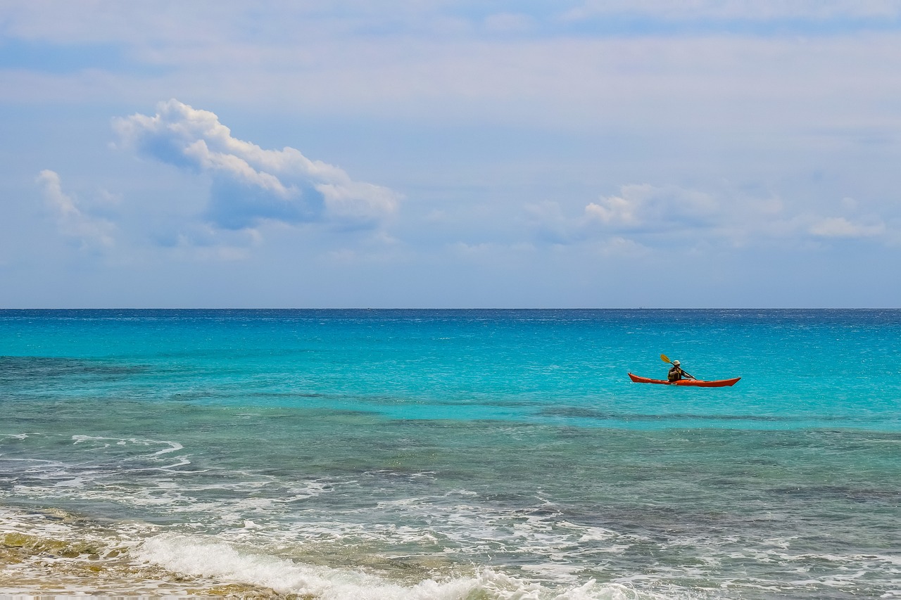 光緒元寶銅幣最新動態(tài)，收藏市場的新焦點(diǎn)揭秘
