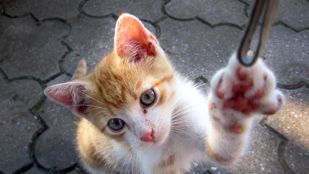 山大搬遷最新動態(tài)，邁向新征程，開啟新篇章