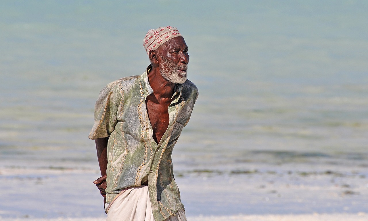 中華孝道園最新消息,中華孝道園最新動(dòng)態(tài)，傳承與創(chuàng)新的融合