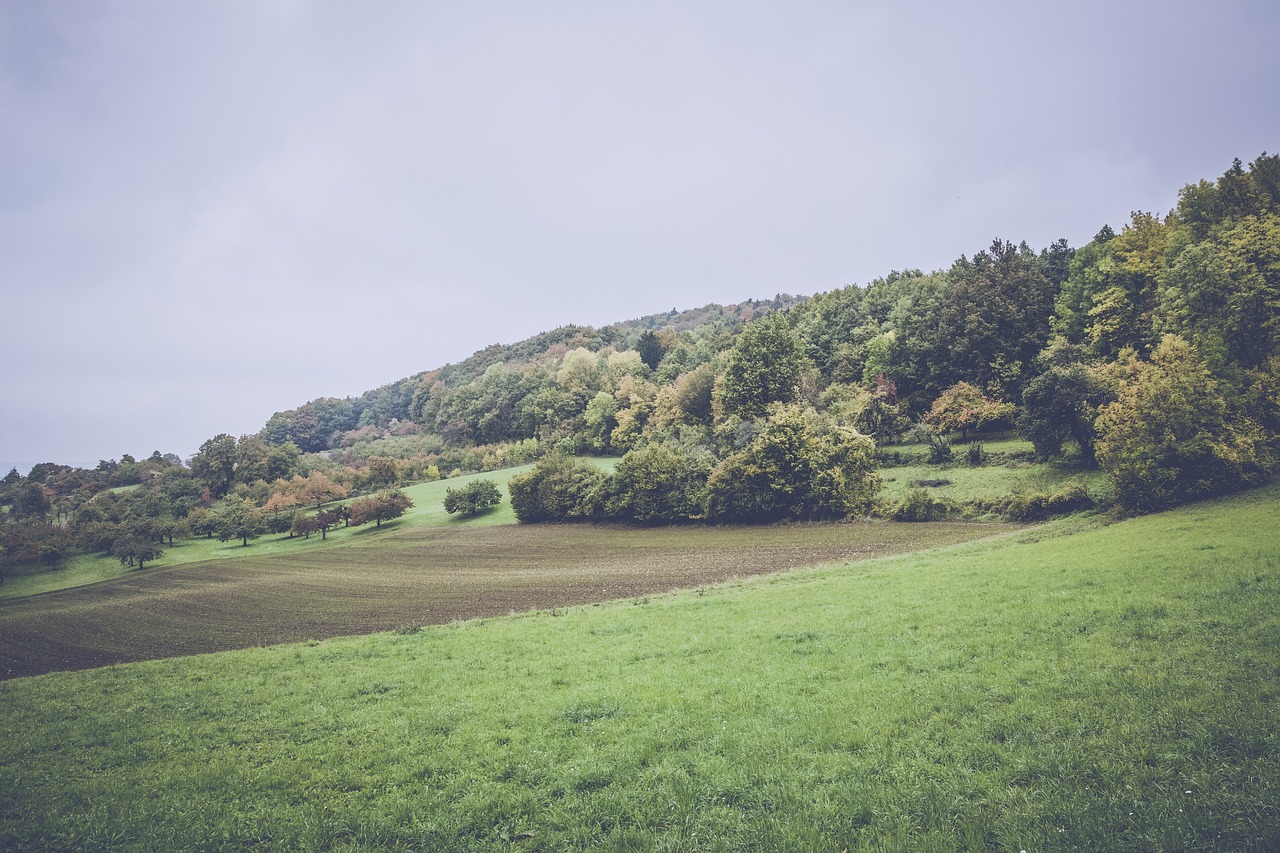 臺(tái)灣王金平最新動(dòng)態(tài)，政治舞臺(tái)的新動(dòng)向與社會(huì)關(guān)注焦點(diǎn)