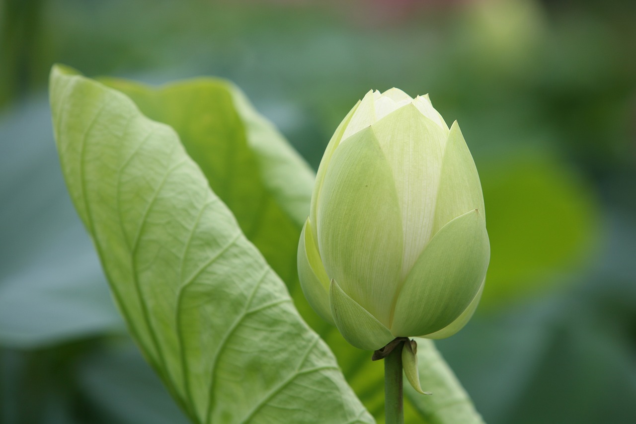 大地傳媒重組最新動態(tài)，重塑傳媒產(chǎn)業(yè)格局取得重大進展