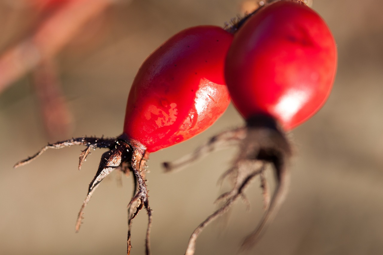 邳州工廠招工最新動(dòng)態(tài)，探尋發(fā)展機(jī)遇，共筑美好未來(lái)