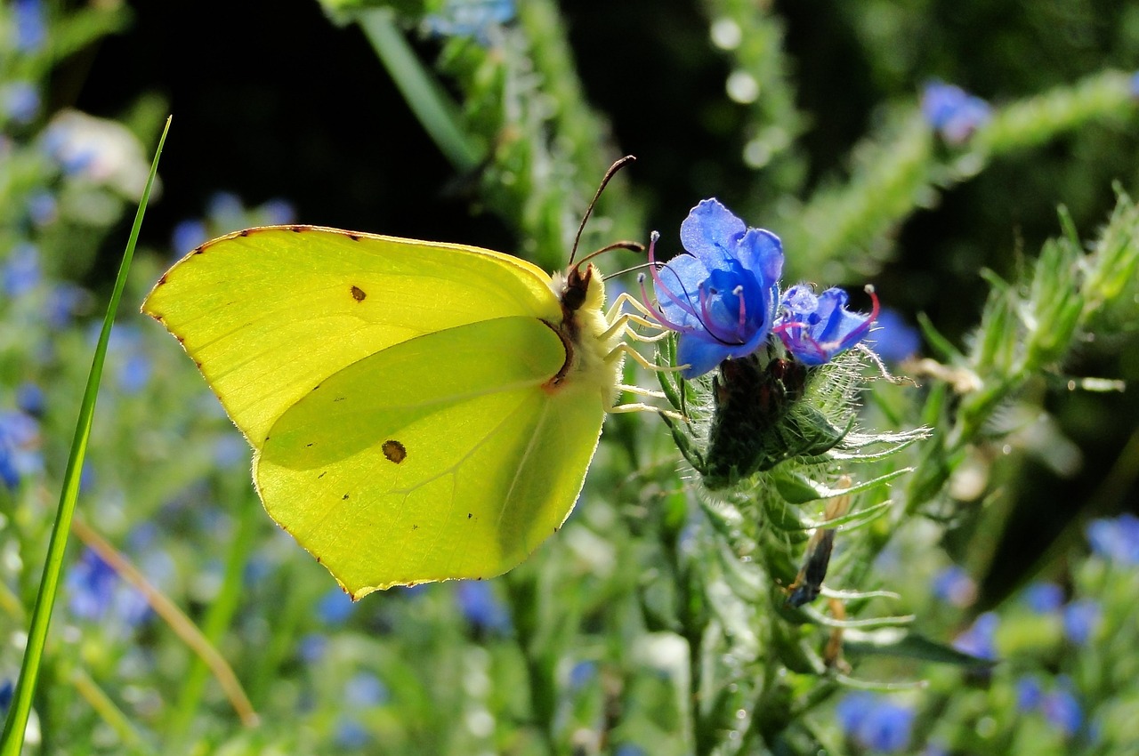 天津津南永旺最新?tīng)顩r概覽，最新進(jìn)展與動(dòng)態(tài)更新