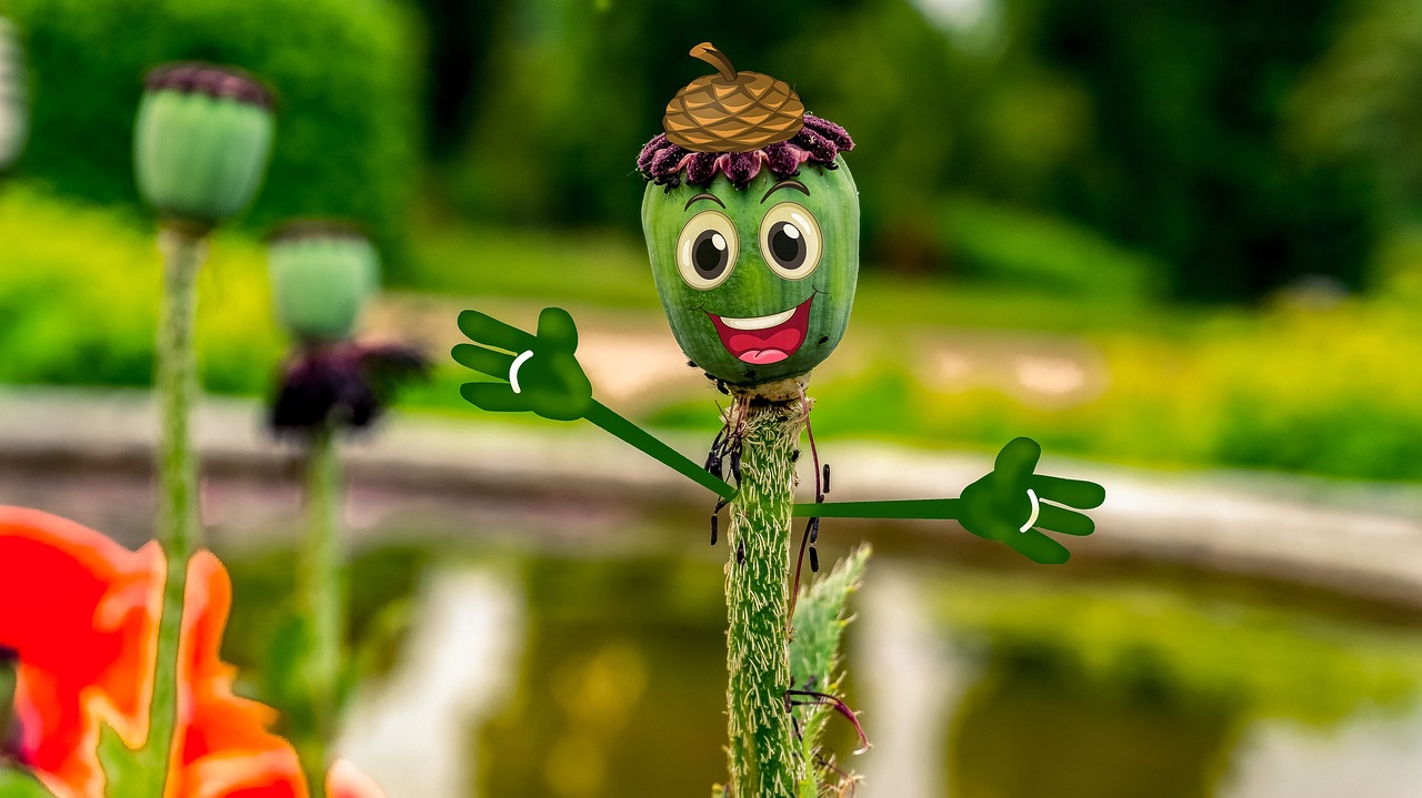 阿凡提下載免費(fèi)最新版，智慧與樂(lè)趣的完美融合體驗(yàn)