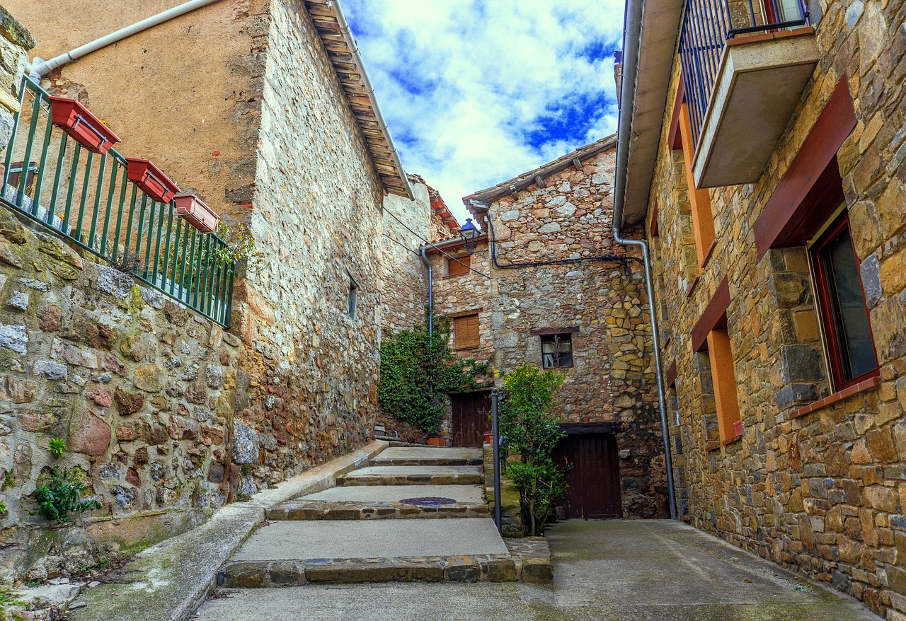 馮某針案最新進(jìn)展深度探究，最新動態(tài)與情況更新（1.21版）