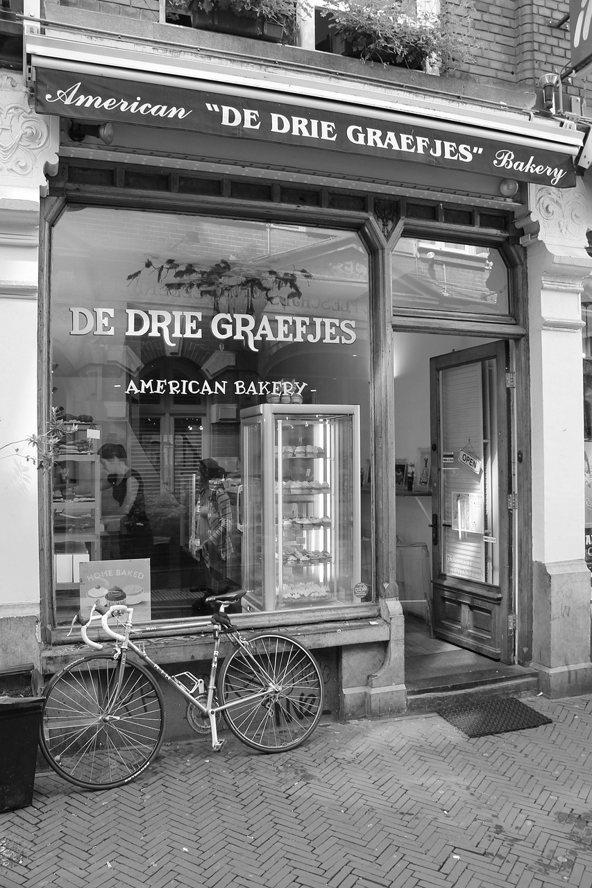 鳳翔湖濱世紀最新動態(tài)，成為城市發(fā)展的璀璨明珠