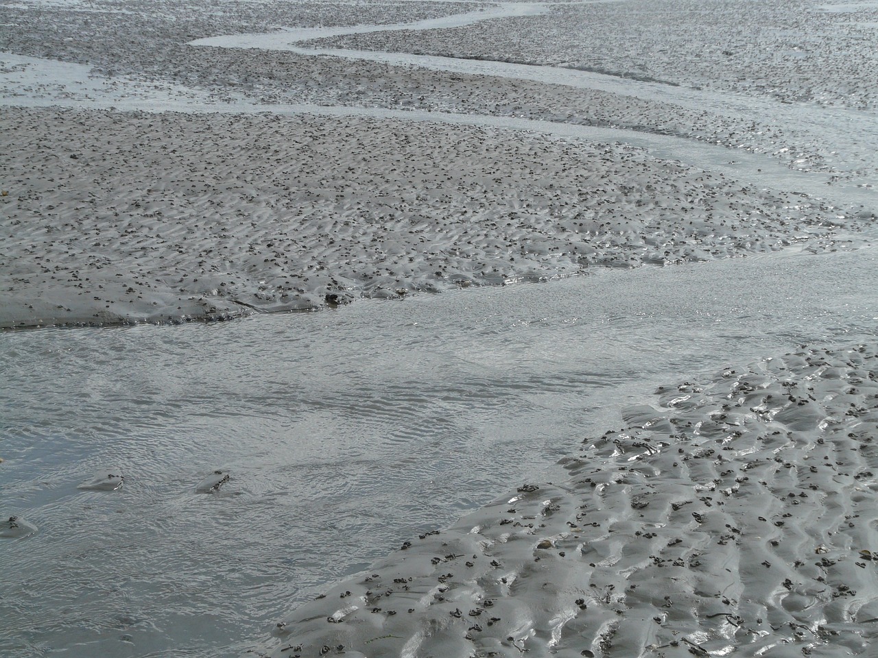 北海傳銷最新動態(tài)曝光，真相揭秘與風(fēng)險(xiǎn)警惕