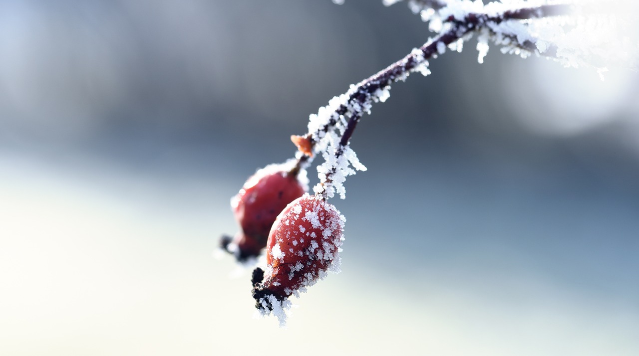 資興新房出售最新消息揭秘，最新房源動(dòng)態(tài)與優(yōu)惠信息一網(wǎng)打盡！