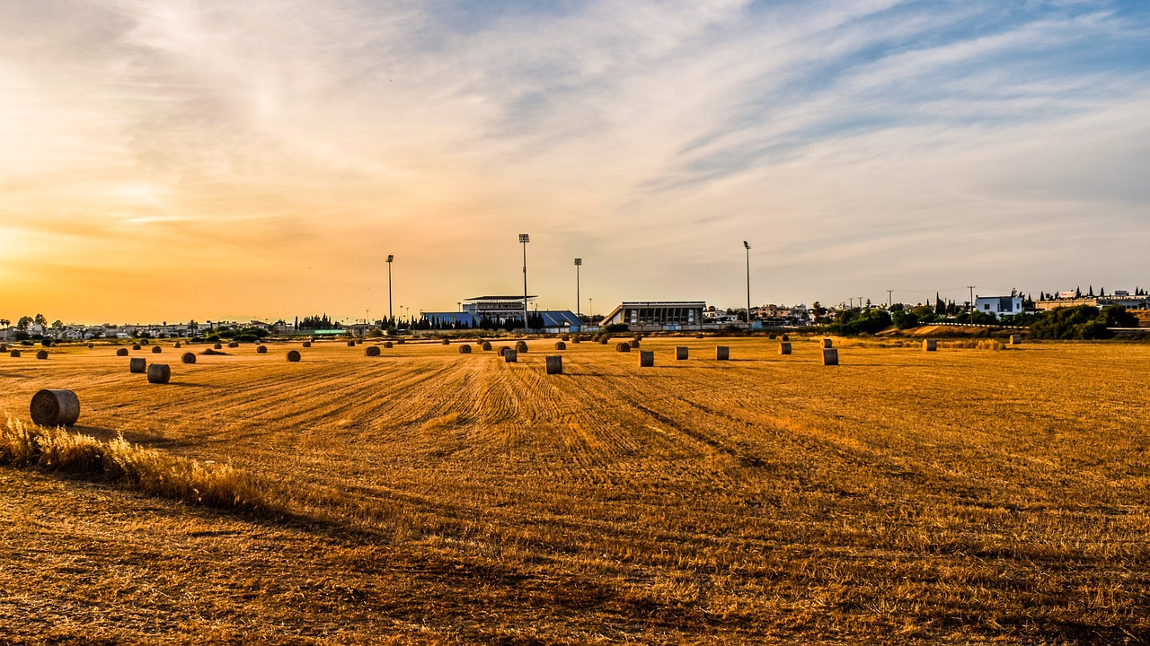 地稅機(jī)構(gòu)改革最新動(dòng)態(tài)，深化稅務(wù)改革，優(yōu)化服務(wù)以提升效率