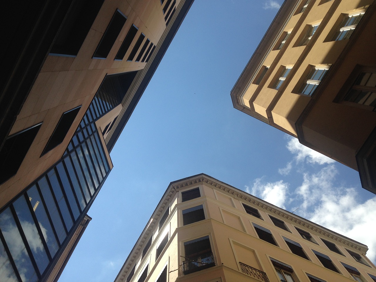 紅蟻白酒 第22頁