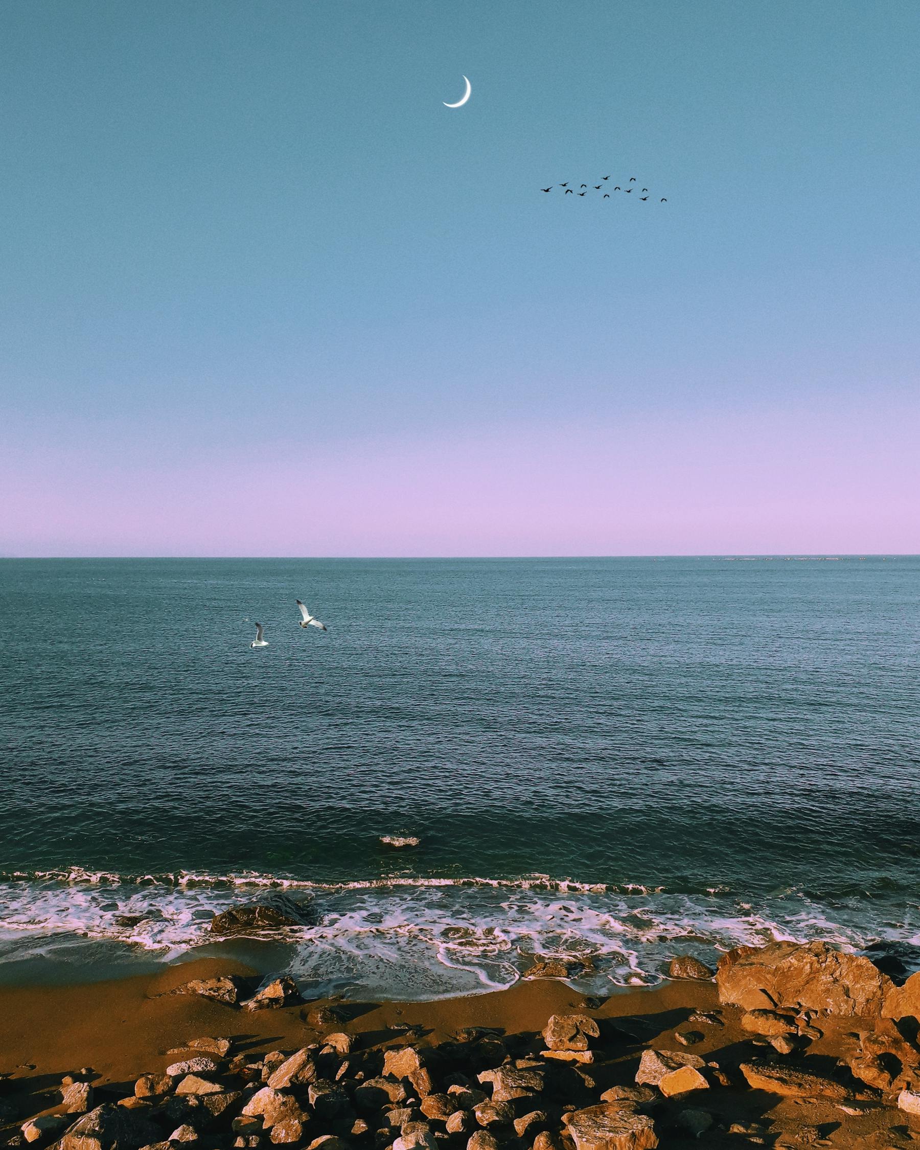 馬特波莫最新動(dòng)態(tài)揭秘，引領(lǐng)前沿科技，開(kāi)啟未來(lái)趨勢(shì)新篇章