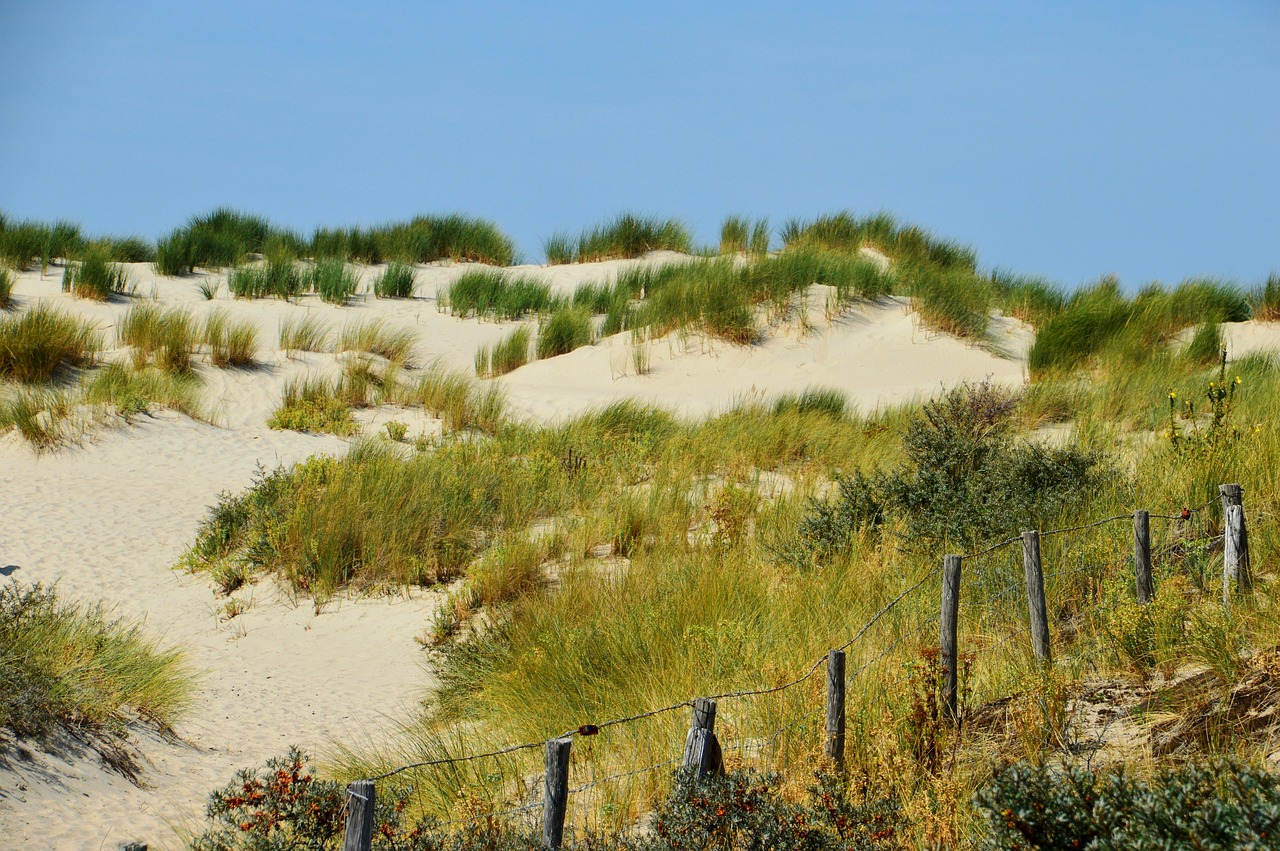 海啟高速如東最新消息概覽，最新動態(tài)與進展報告