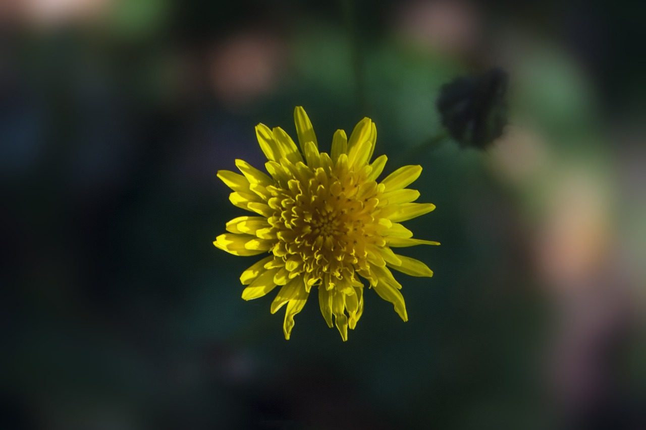 湛江仁?；▓@最新動態(tài)更新